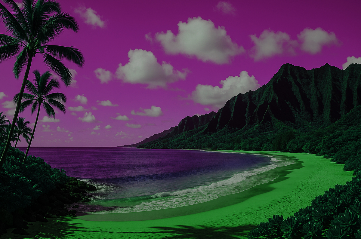 Hawaii Hero
